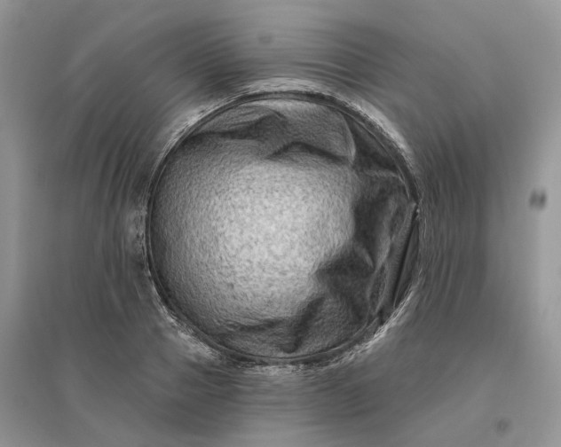 X0000096190937200802011404