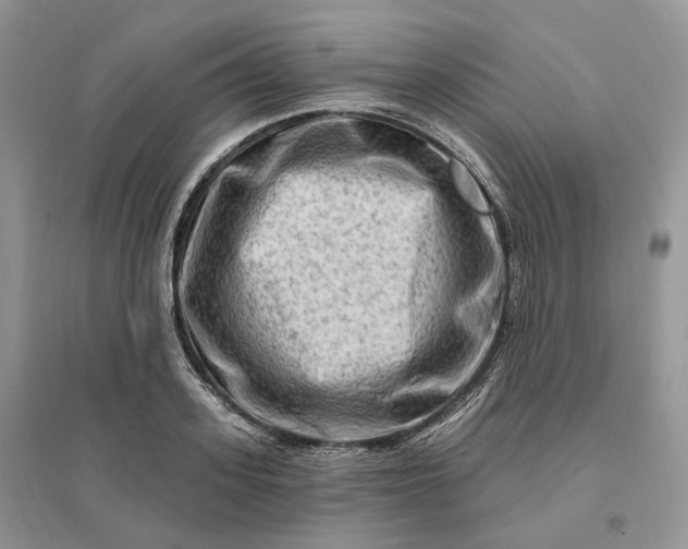 X0000096190939200802011404