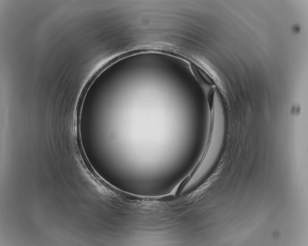 X0000096190940200802011404