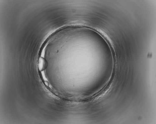 X0000096190941200802011404