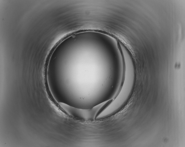 X0000096190942200802011404