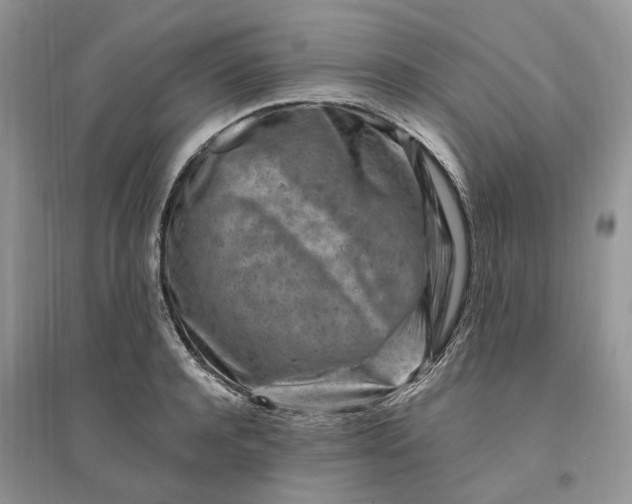 X0000096190944200802011404