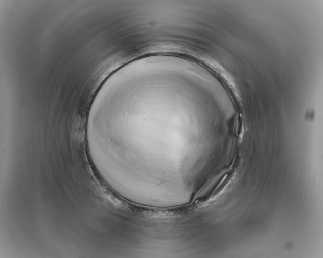 X0000096190945200802011404