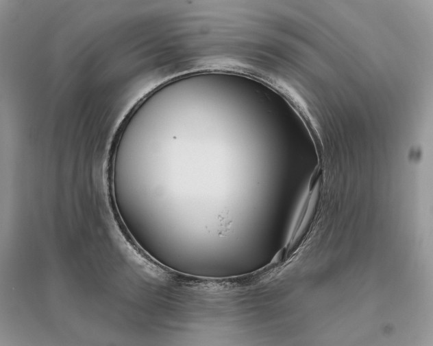 X0000096190947200802011404