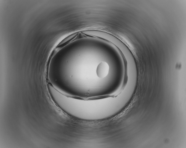 X0000096190948200802011404