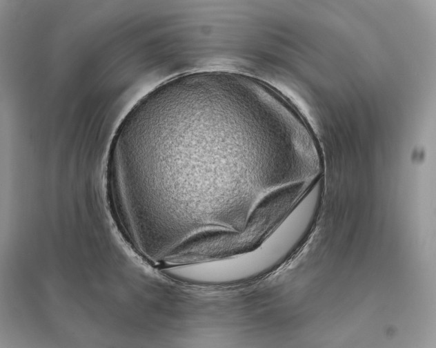 X0000096190949200802011404