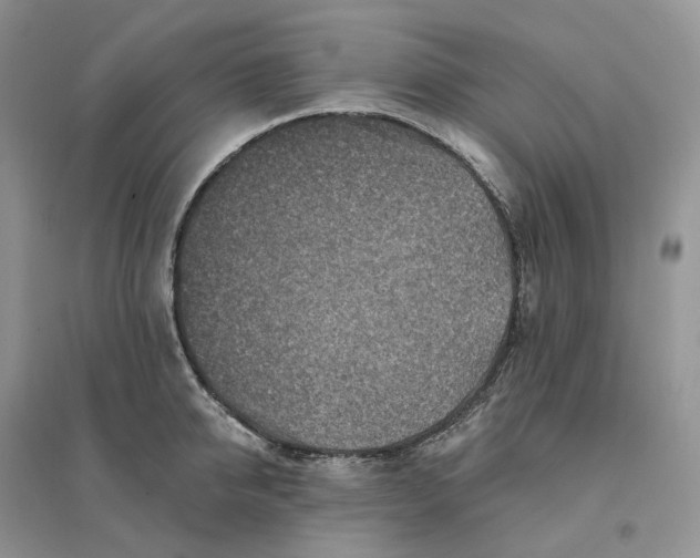 X0000096190950200802011404