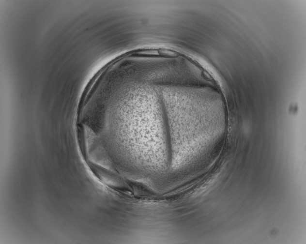 X0000096190951200802011404