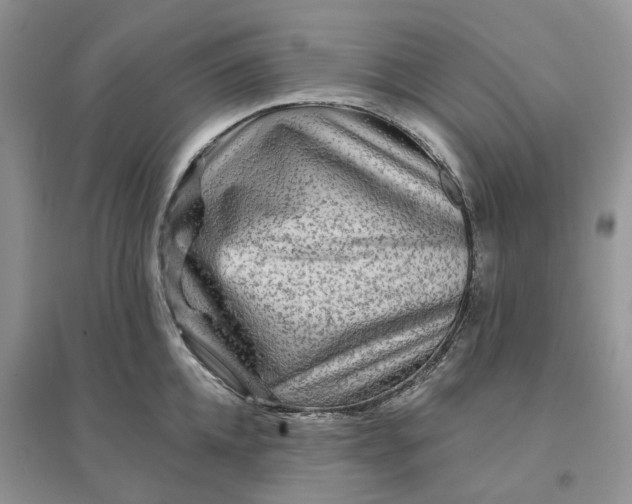 X0000096190952200802011404