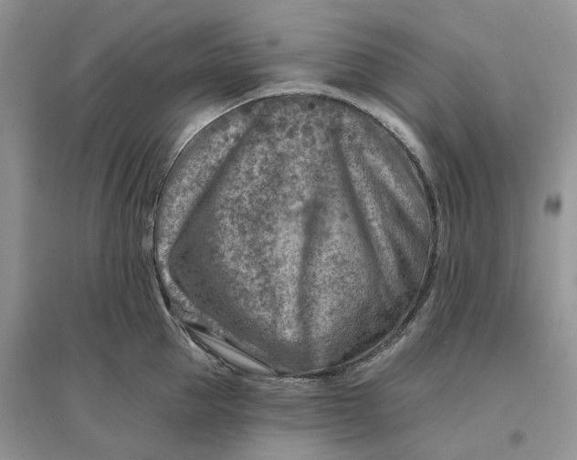 X0000096190953200802011404