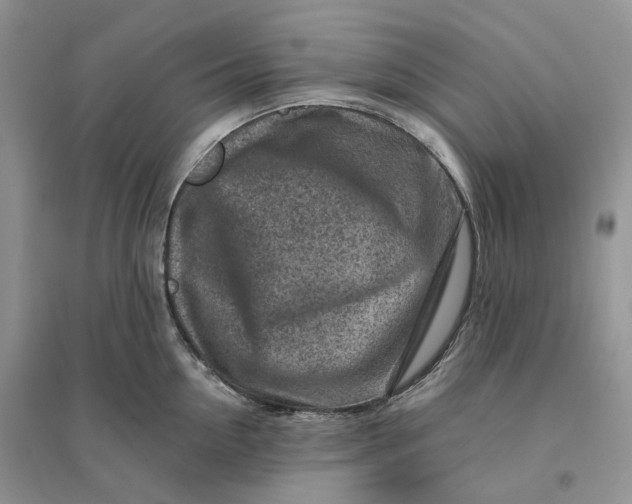 X0000096190954200802011404