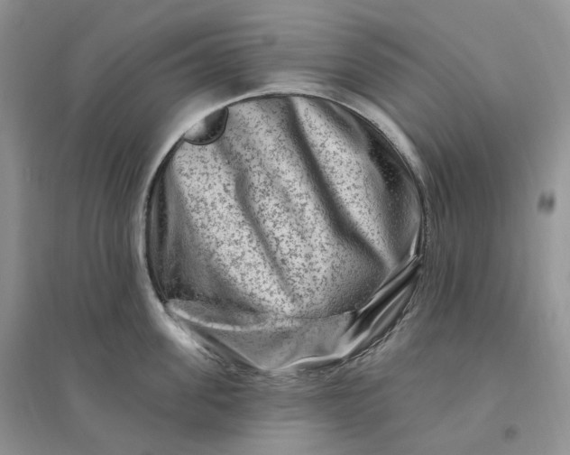 X0000096190955200802011404