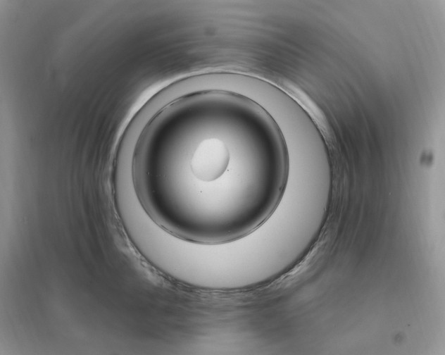 X0000096190956200802011404