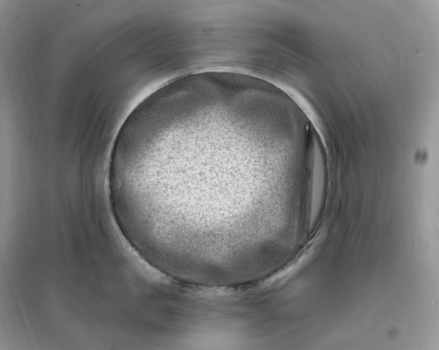 X0000096190957200802011404