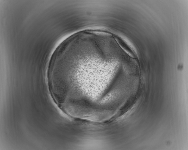 X0000096190959200802011404