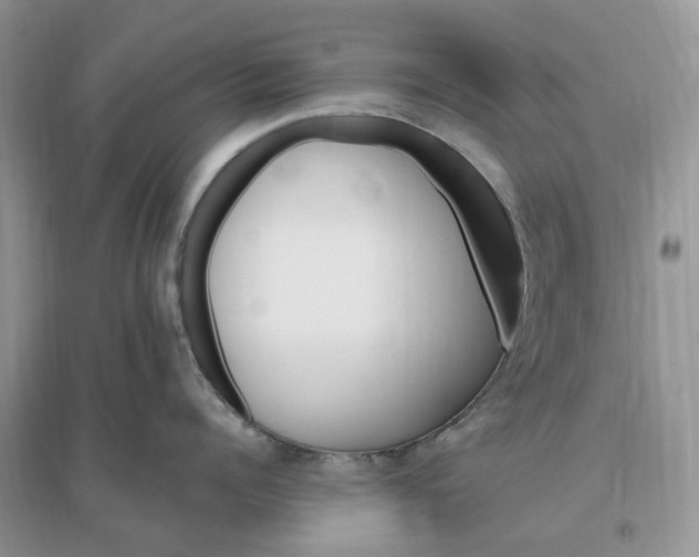 X0000096190960200802011404