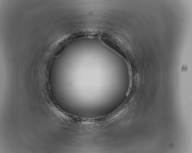 X0000096190961200802011403