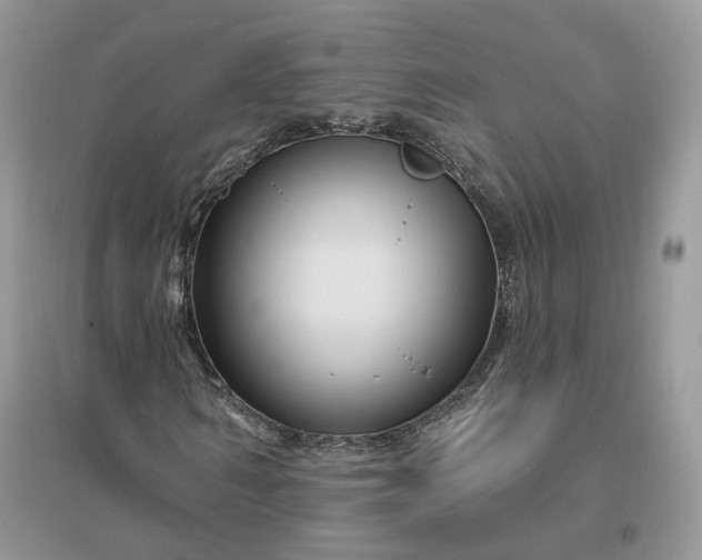 X0000096190962200802011403