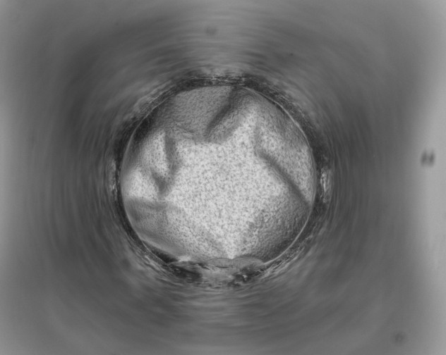 X0000096190963200802011403