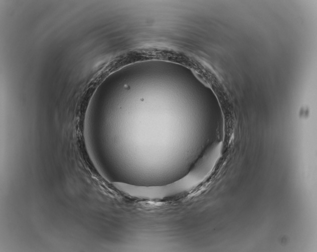 X0000096190965200802011403