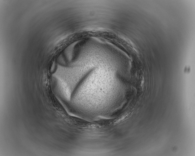 X0000096190966200802011403