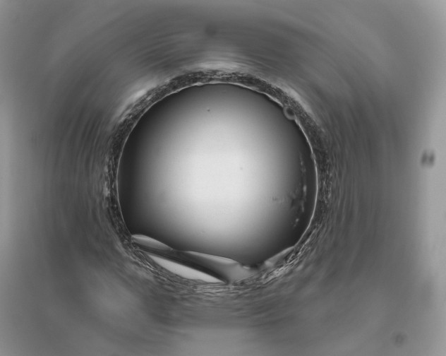 X0000096190967200802011403