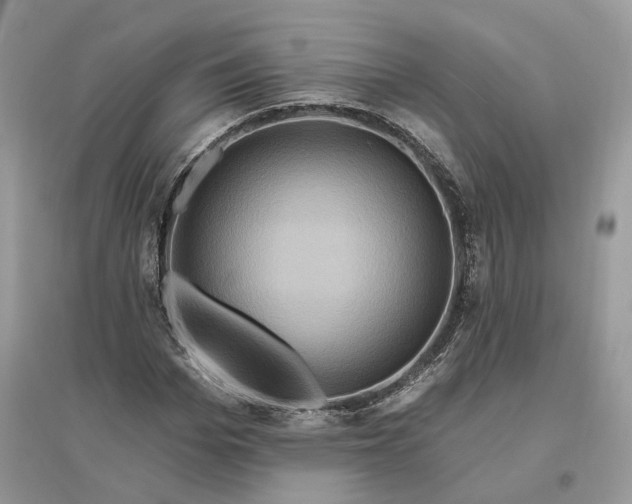 X0000096190969200802011403