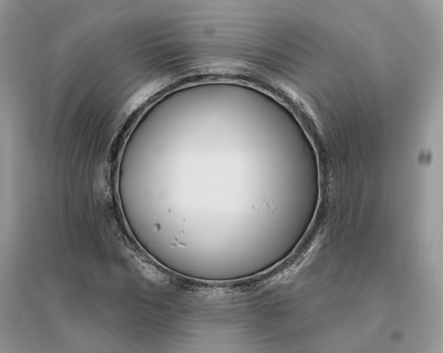 X0000096190970200802011403