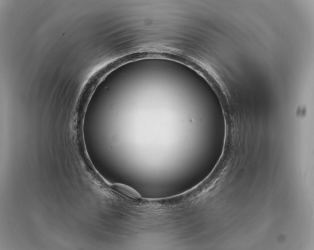 X0000096190971200802011403