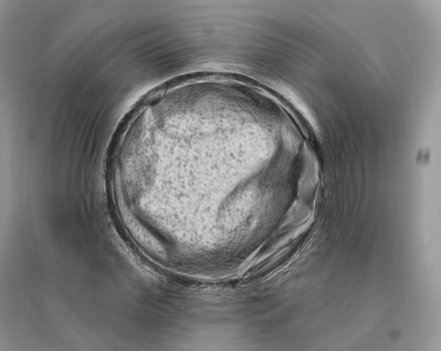 X0000096190972200802011403