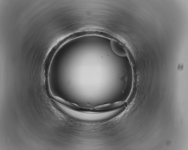 X0000096190973200802011403