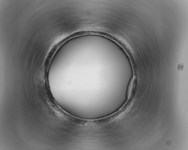 X0000096190974200802011403