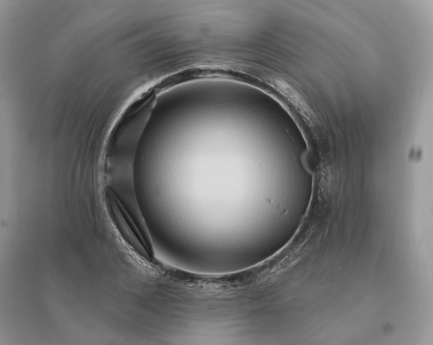 X0000096190976200802011403