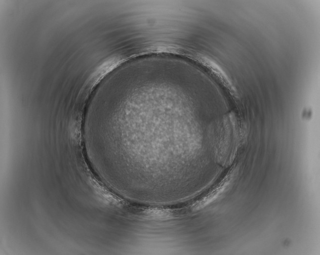 X0000096190977200802011403