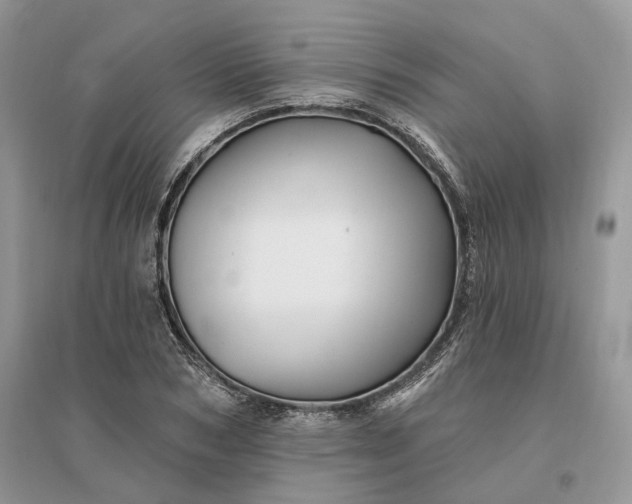 X0000096190978200802011403