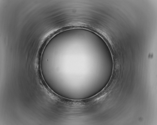 X0000096190979200802011403