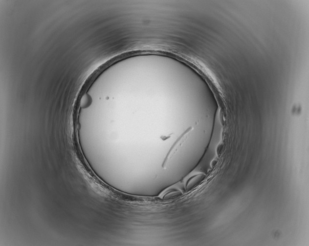 X0000096190980200802011403