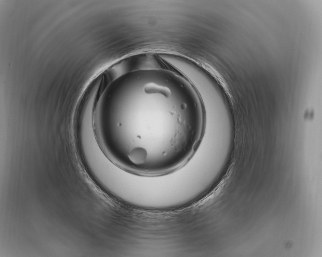 X0000096190981200802011403