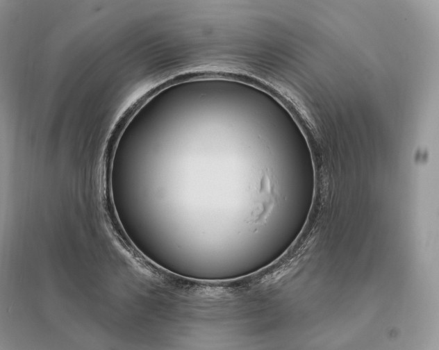 X0000096190982200802011403