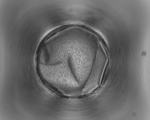 X0000096190983200802011403