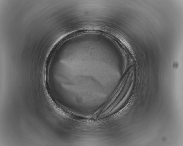 X0000096190984200802011403