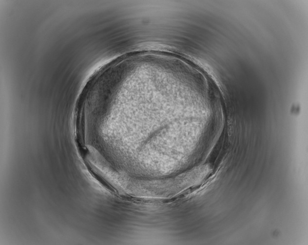 X0000096190987200802011403