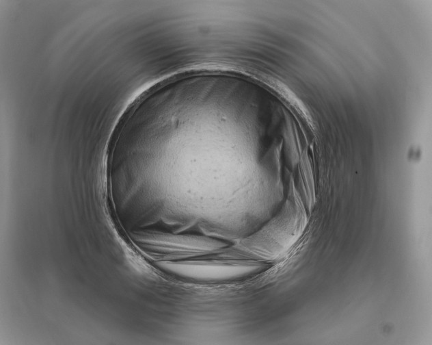 X0000096190988200802011403