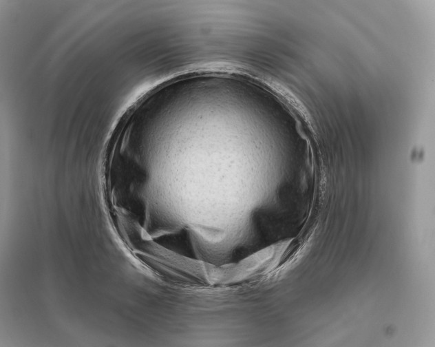 X0000096190989200802011403