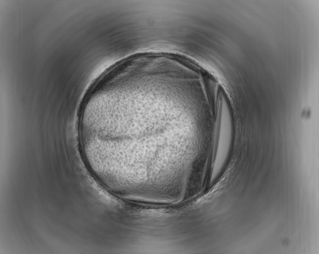 X0000096190990200802011403