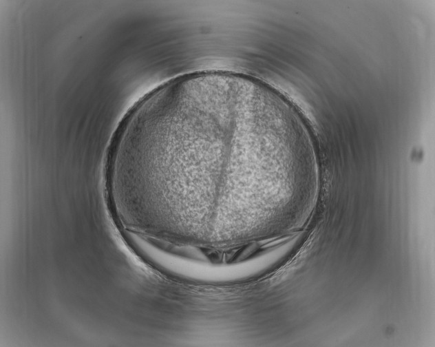 X0000096190991200802011403