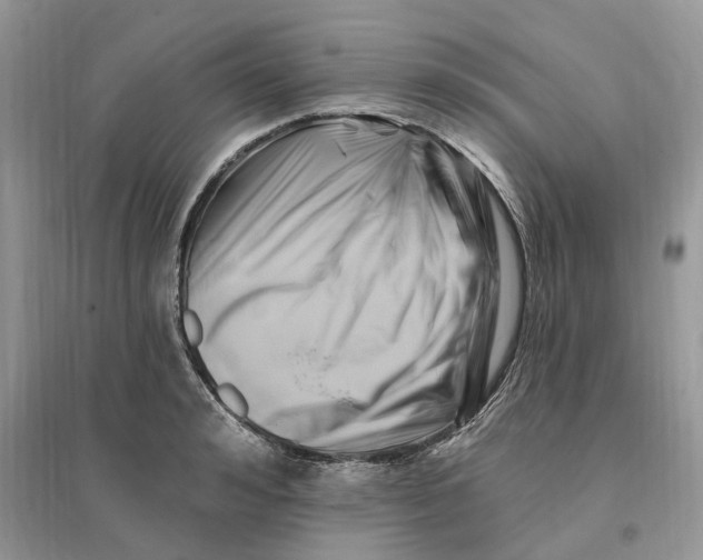 X0000096190992200802011403