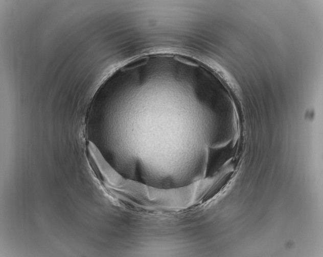 X0000096190993200802011403