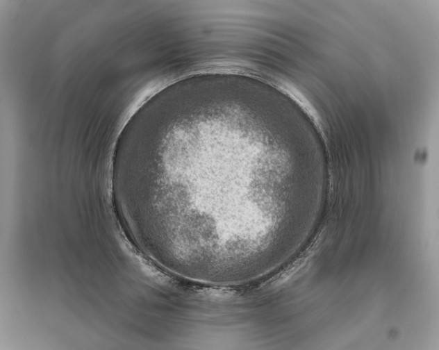 X0000096190994200802011403