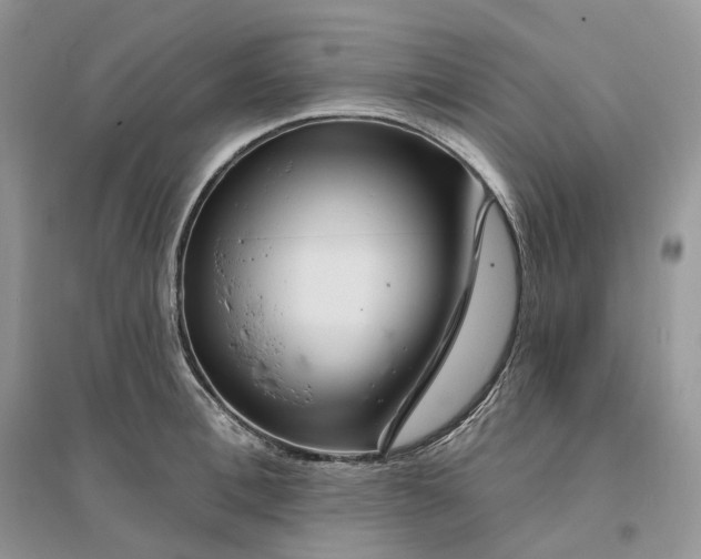 X0000096190996200802011403